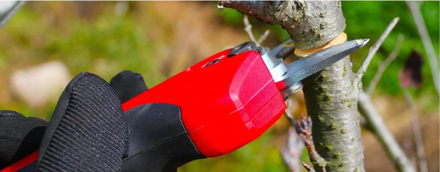 HOT Cordless Garden Pruner Shears 18V/21V high-power electric scissors for plants Pruning