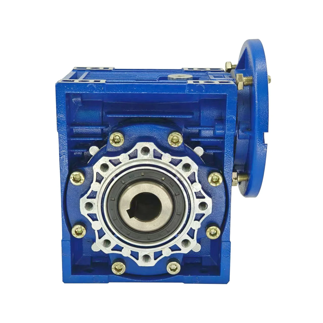 NMRV025 worm gear reducer with compact structure ratio 50-100 worm gearbox with single or double extension worm shaft
