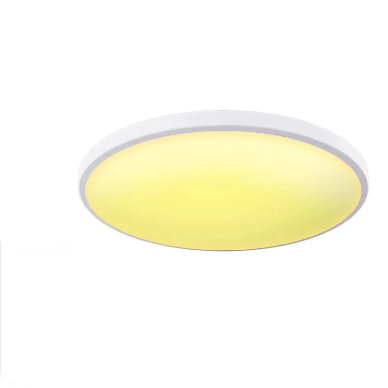Slim Modern Nordic Flush Mount Tuya Smart LED Ceiling Light 2.4G wifi Smart RGB Zigbee Ceiling Light