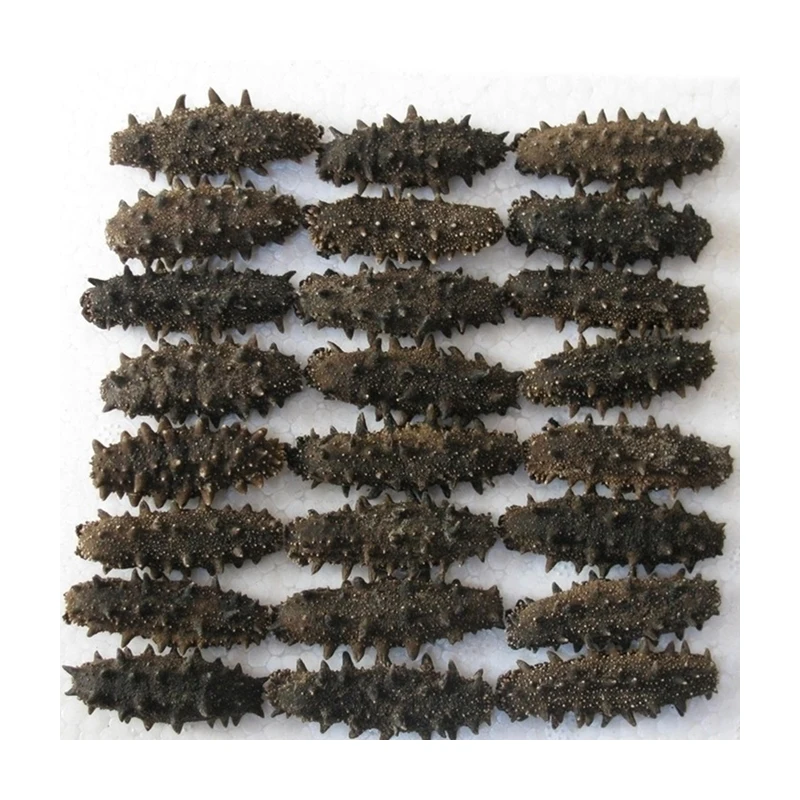 2021 China New Season High Quality Seafoods Organic Dried Sea Cucumber