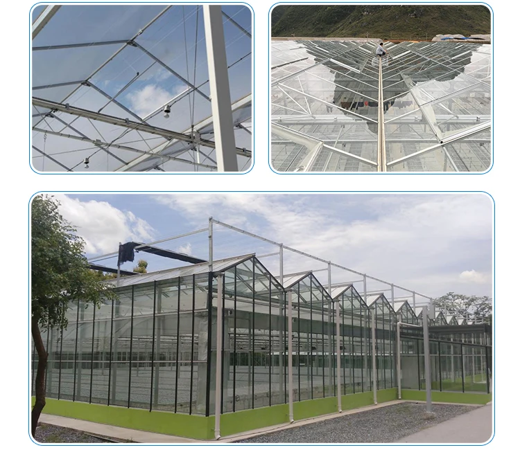 Flower-Glass-Greenhouse_08.jpg