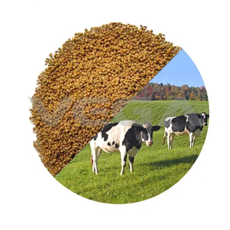 
VEGA China manufacturer feed aminos rumen protected l Lysine 