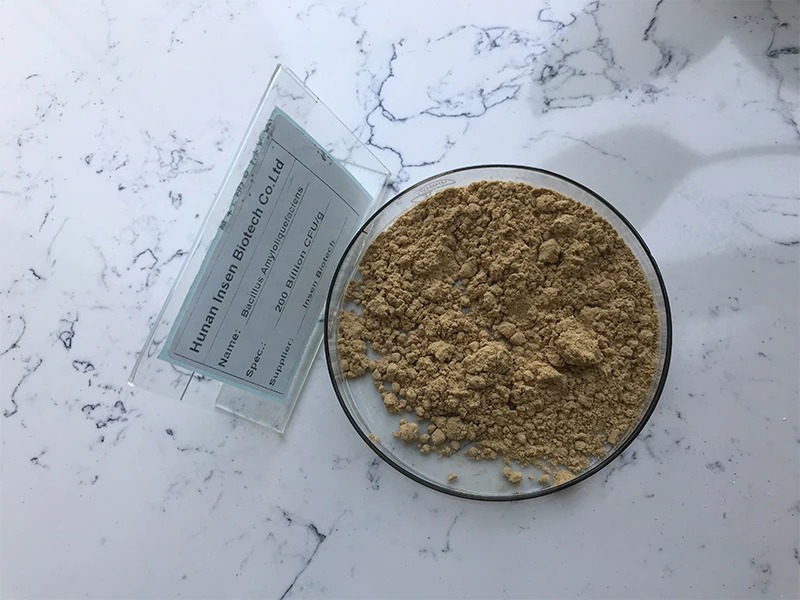 Best Price Buy Bacillus Subtilis Powder