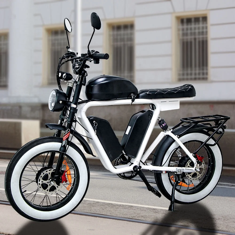 Dual Bafang  Motors Electric BIKE  48v 1000W  triple  lithium batteries fat tire electric bicycle wholesale bicicleta electrica