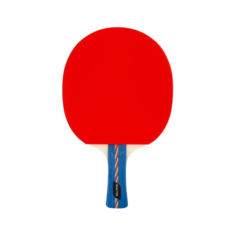 3 start  Professional  Table Tennis Racket ping pong Paddle