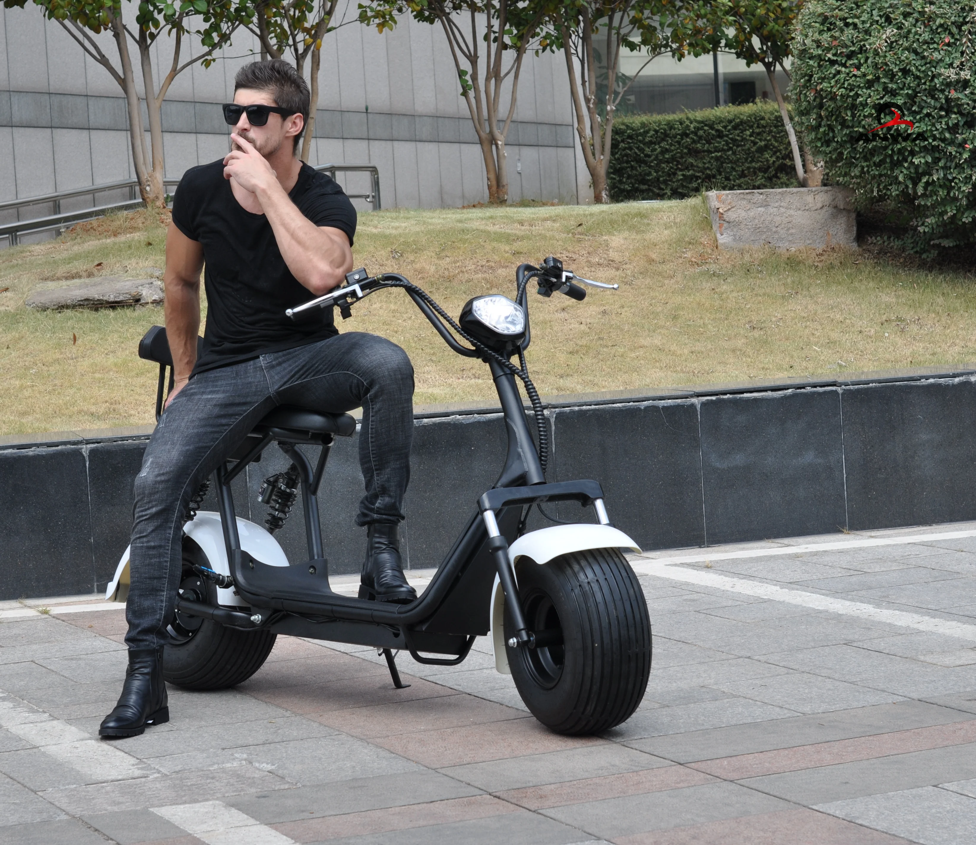 Newest Electric Scooter Parts 1000w Citycoco 60v/12Ah Fast Electric Motorcycle