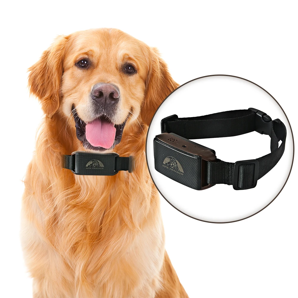 Распродажа по цене GPS Pet Tracker 2g + NB Собака Кошка трекер tk201 с сигнализацией гео-забора