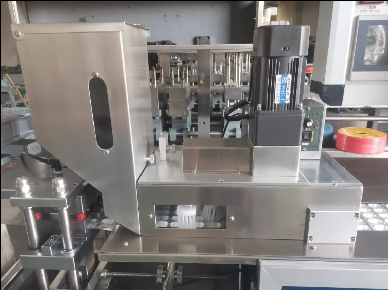 Dpp180 New Thermoforming  Plastic Chocolate Egg Blister Packing Machine
