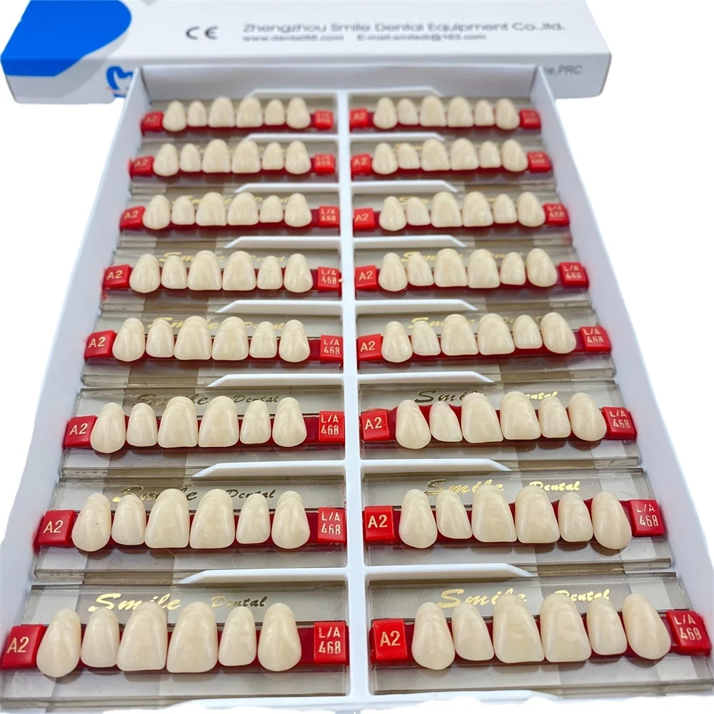 Anterior False Teeth Dental Acrylic Resin Teeth 2-lay Upper/Lower Denture Teeth