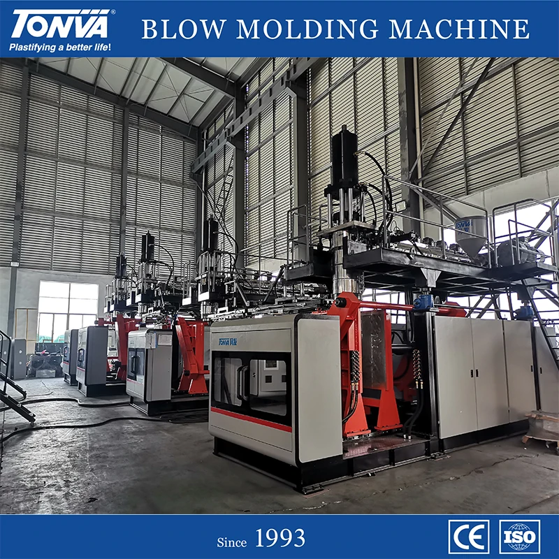 Manufacturing Blister Packaging Plastic Blister Packaging Tray Blow Molding Machine