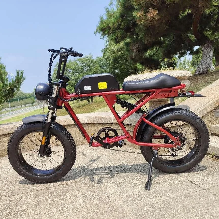CQJB zongshen 250cc NEXUS250 NEXUS300 EFI преобразователь двигателя для велосипеда