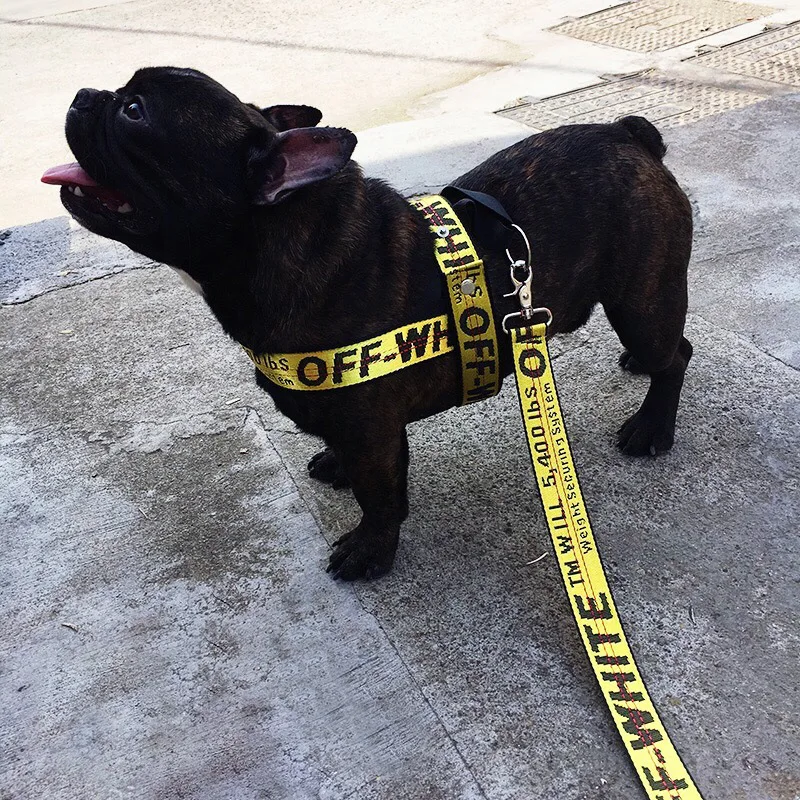 JXANRY Popular Logo Dog Leash Collar Luxury Retractable Pet Harness Dog Chest and Back Cat Leash  Pet Supplies Dog Safety Leash