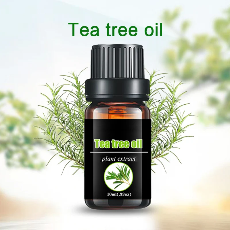shampoo Daily Flavor Food Flavor diffuser oil tea tree oil Cajeput Melaleuca Oil