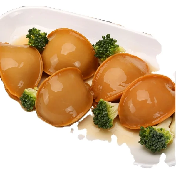 
Fresh Abalone Hot Abalone for Sale OEM 