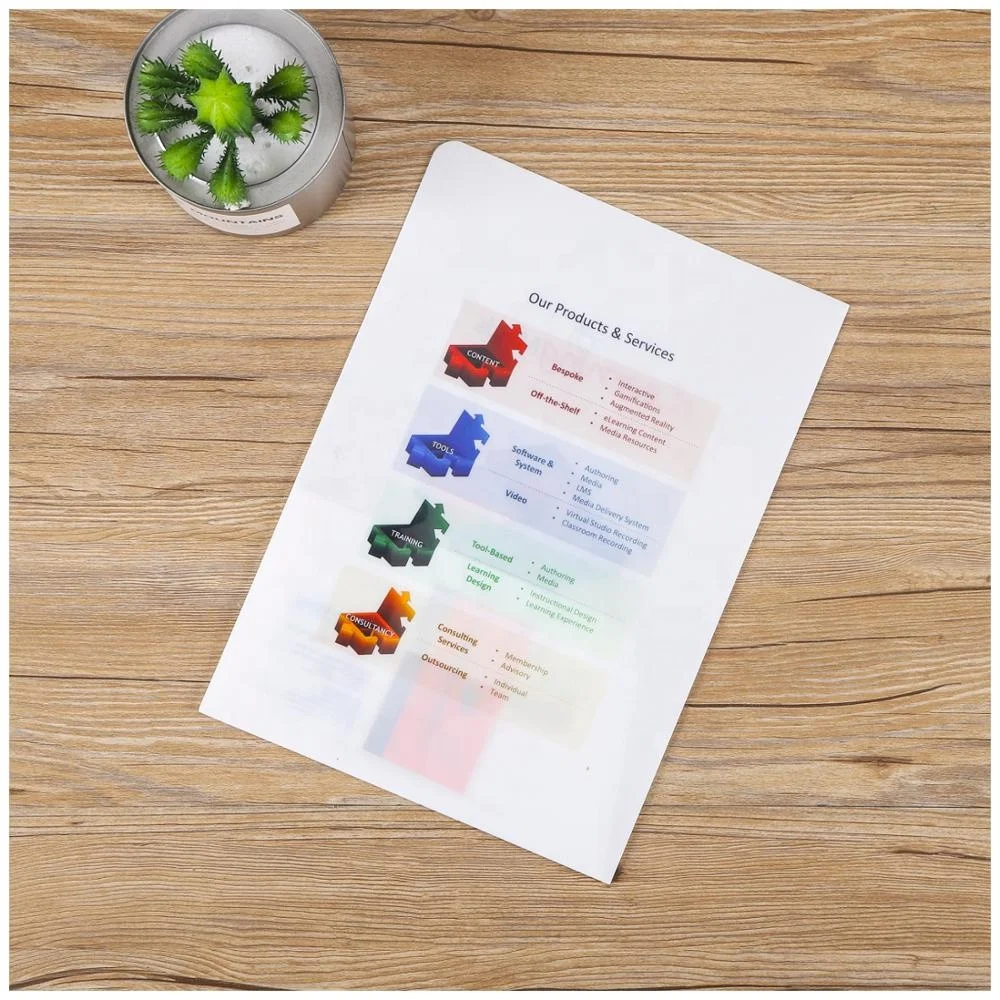 
Stationery Custom Logo 2 Pocket a4 Office PP Folders 