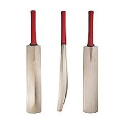 Made in India Custom English Willow Hand Crafted Cricket Bat for Leather Ball with Full Protection Cover Available at Best Price