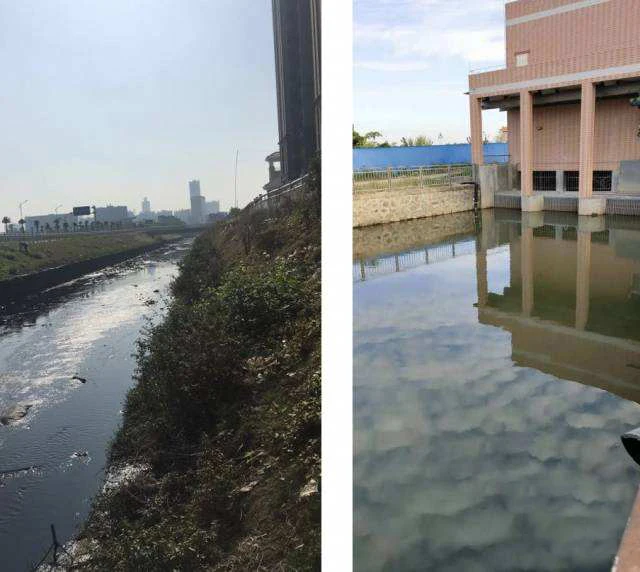 Aerobic bacteria specially for printing and dyeing wastewater