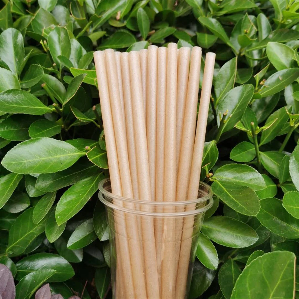 Customized 5 6 7 8 10 12mm Compostable Vegetable Fiber Sugarcane Bagasse Straw Bio Degradable Sugar Cane Disposable Drink Straws