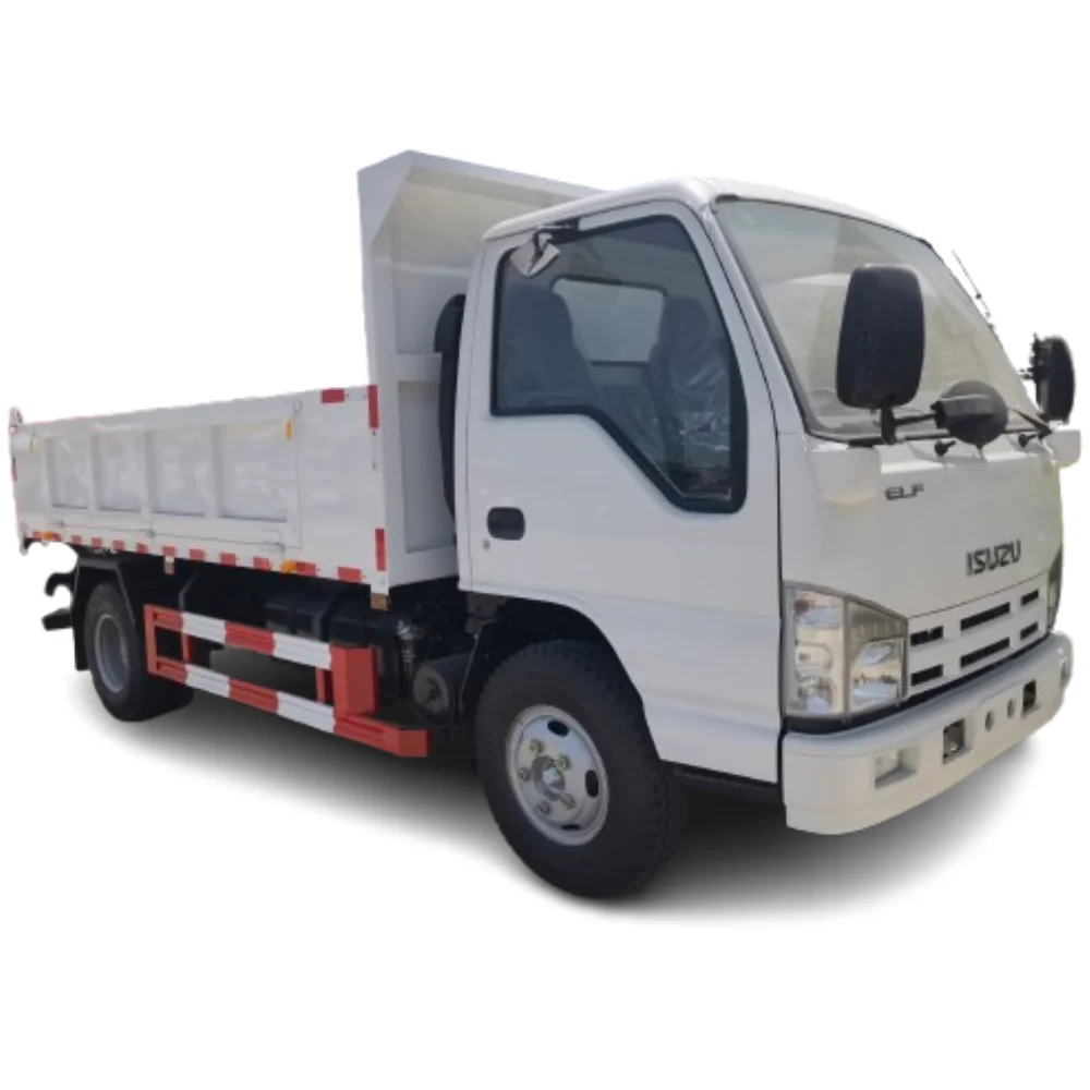 Hot Selling JSXT 4*2 Type 5 ton Euro 2  Dump Truck Mini Tipper Truck