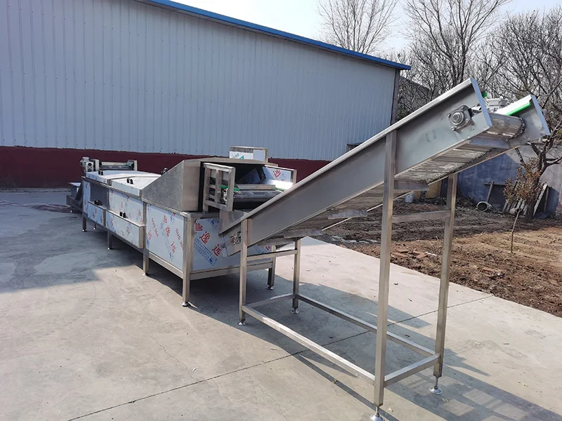 industrial commercial yam blanching hazelnut machine for sale