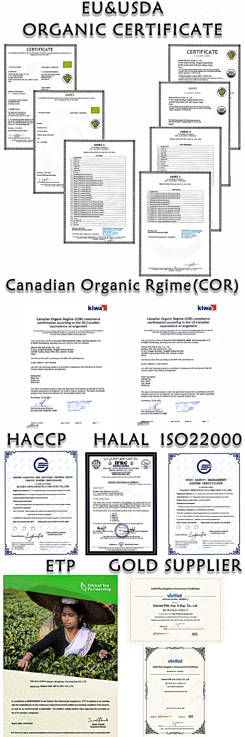 paste-pic-dp_uuid_wcwgs