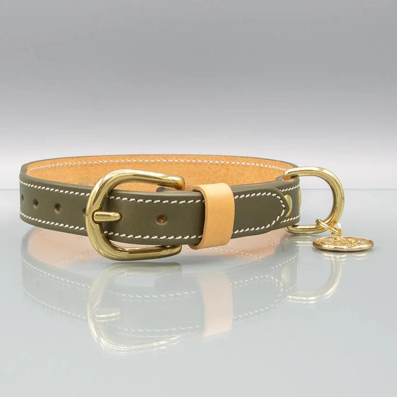 2022 Twinsis High Quality Nature Leather Durable Luxury Comfortable Premium Dog Collar Pet Collar