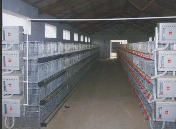 H type 3 tires Animal cages Broiler chicken cage Chicken farming