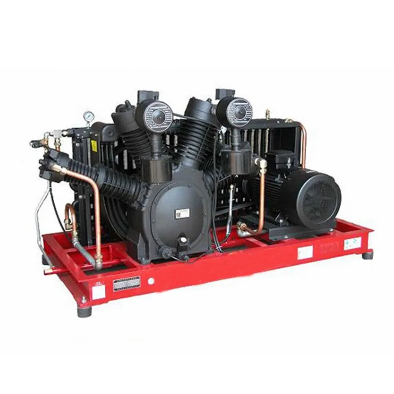 Hot Sales Air Compressor 45bar for PET Bottle Blow Machine Piston Air Compressor