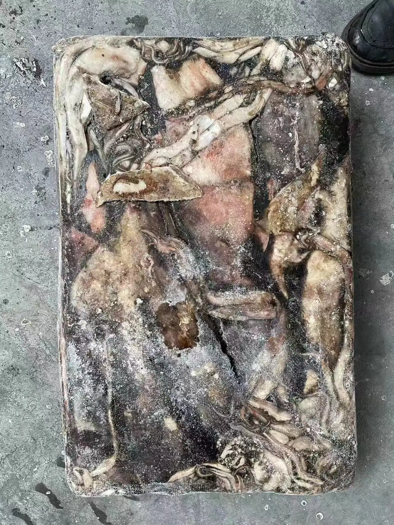 Good Quality Dosidicus Gigas Sea Frozen Giant  Whole Peru Squid