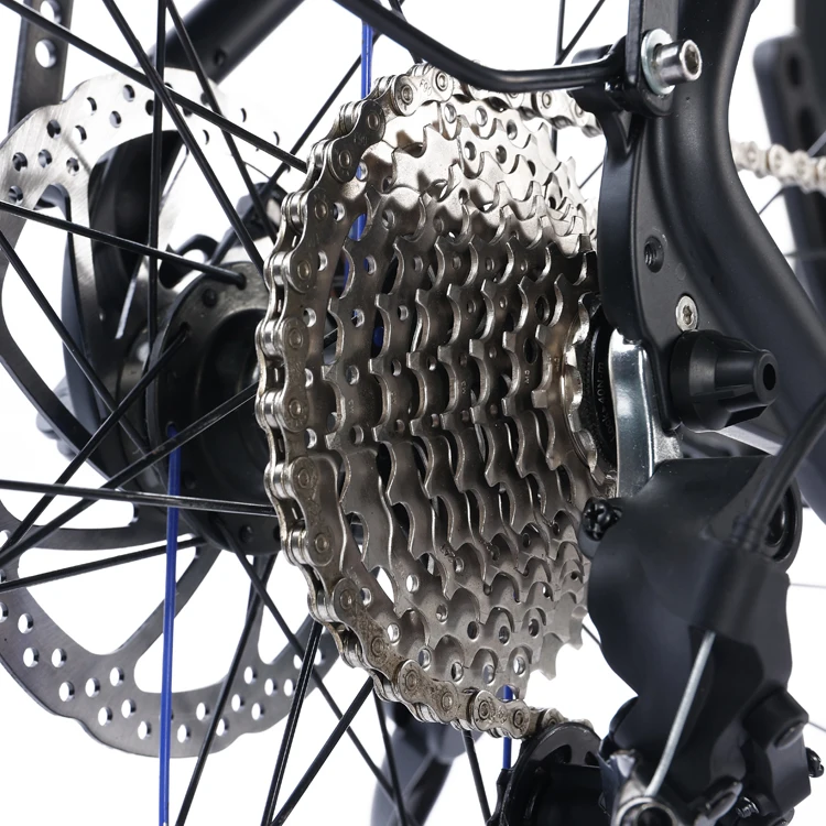 Tianjin factory Alloy Frame Middle Drive Motor Electric Bicycle E-Bike 36V250W 9 Speed City Bike