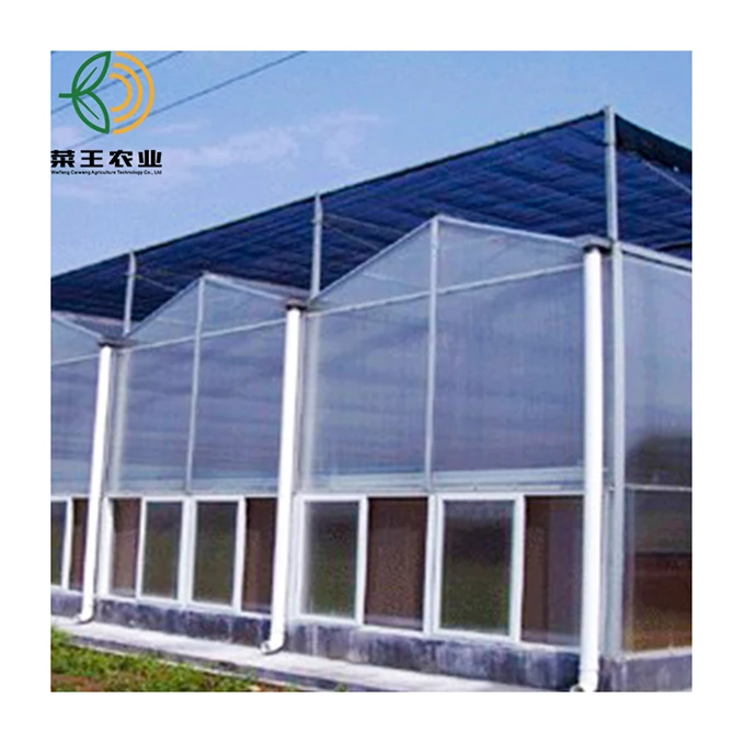 
manufacturer agricultural PC greenhouse multi span Tunnel greenhouses 