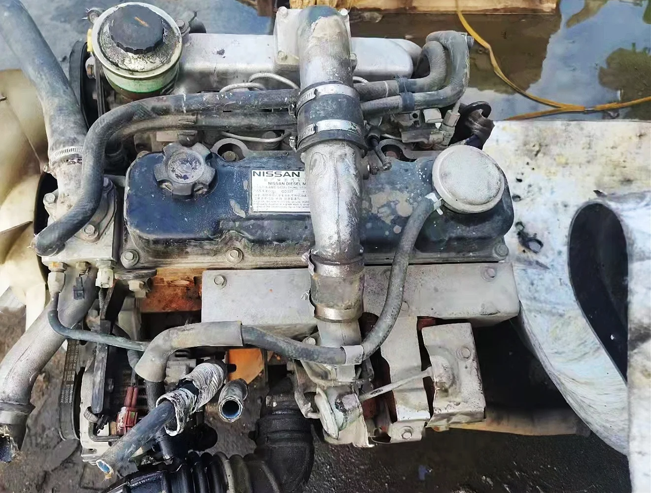 Used Motor qd32 Turbo Diesel Engine Truck Motor qd32 Turbo 4x2