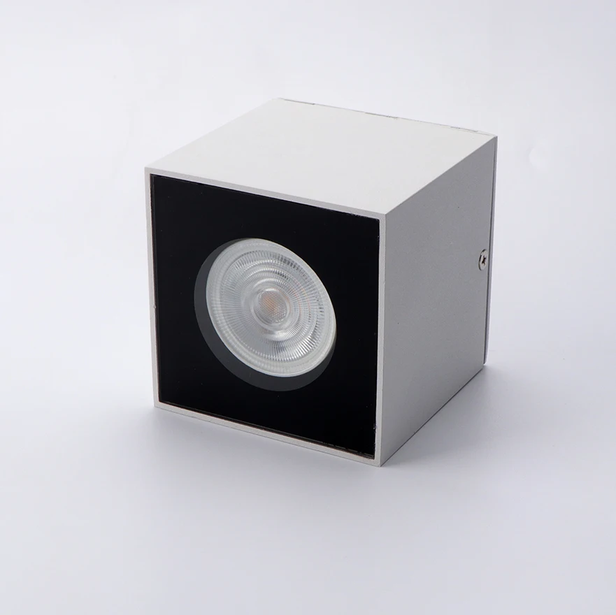 ip65 downlight 1