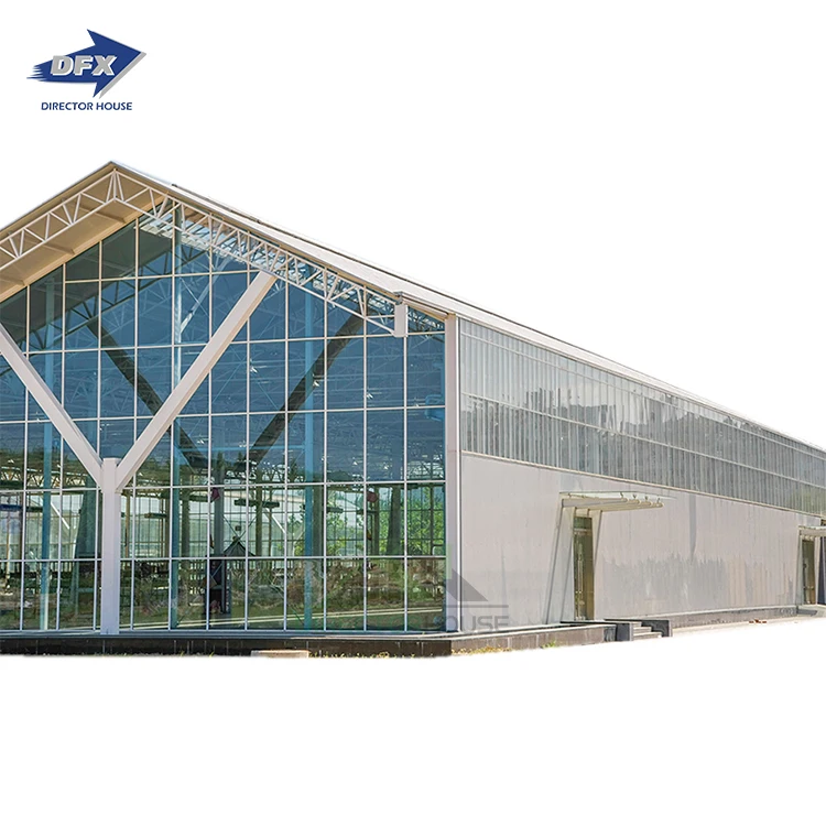 Prefab Warehouse/Workshop/Hangar/Poultry House/Hall Building Metal Frame Building Prefabricated Steel Structure