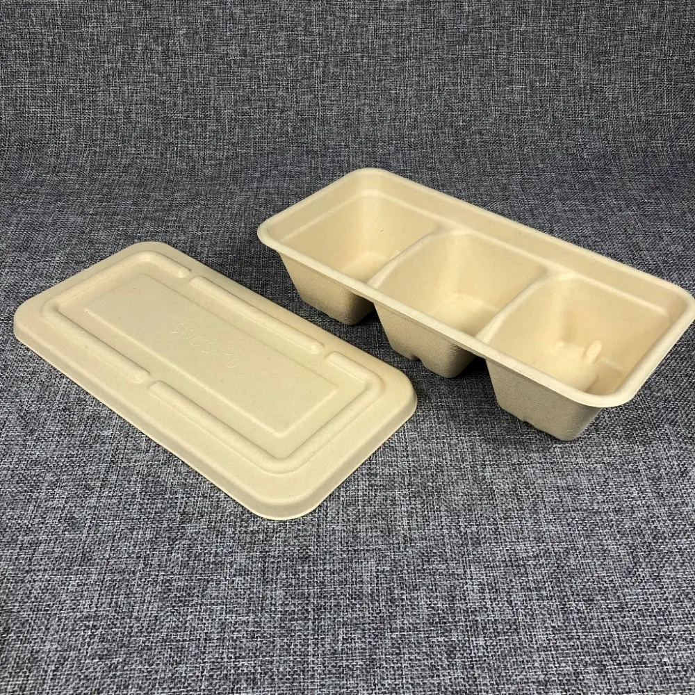 A01 Promotion 15%off biodegradable sugarcane bagasse food container compostable lunch box packaging tableware package