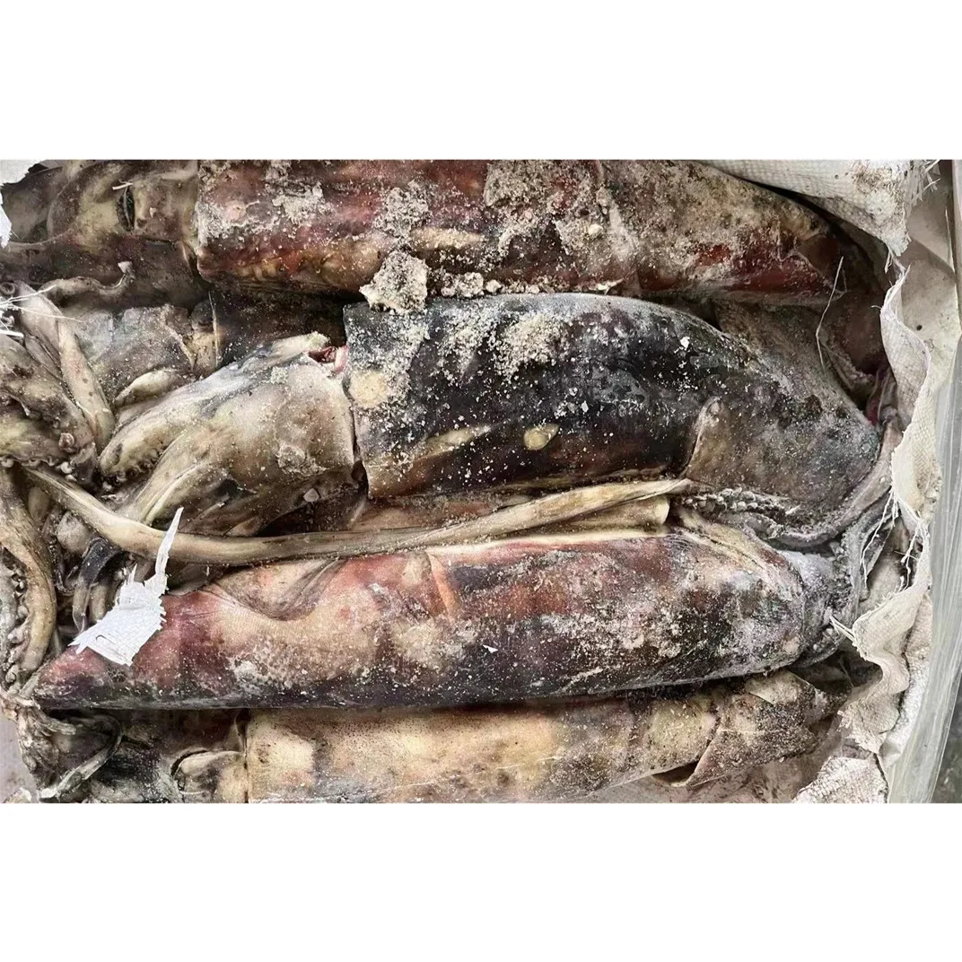 new landing 2-4kg sea frozen peru squid dosidicus gigas giant squid