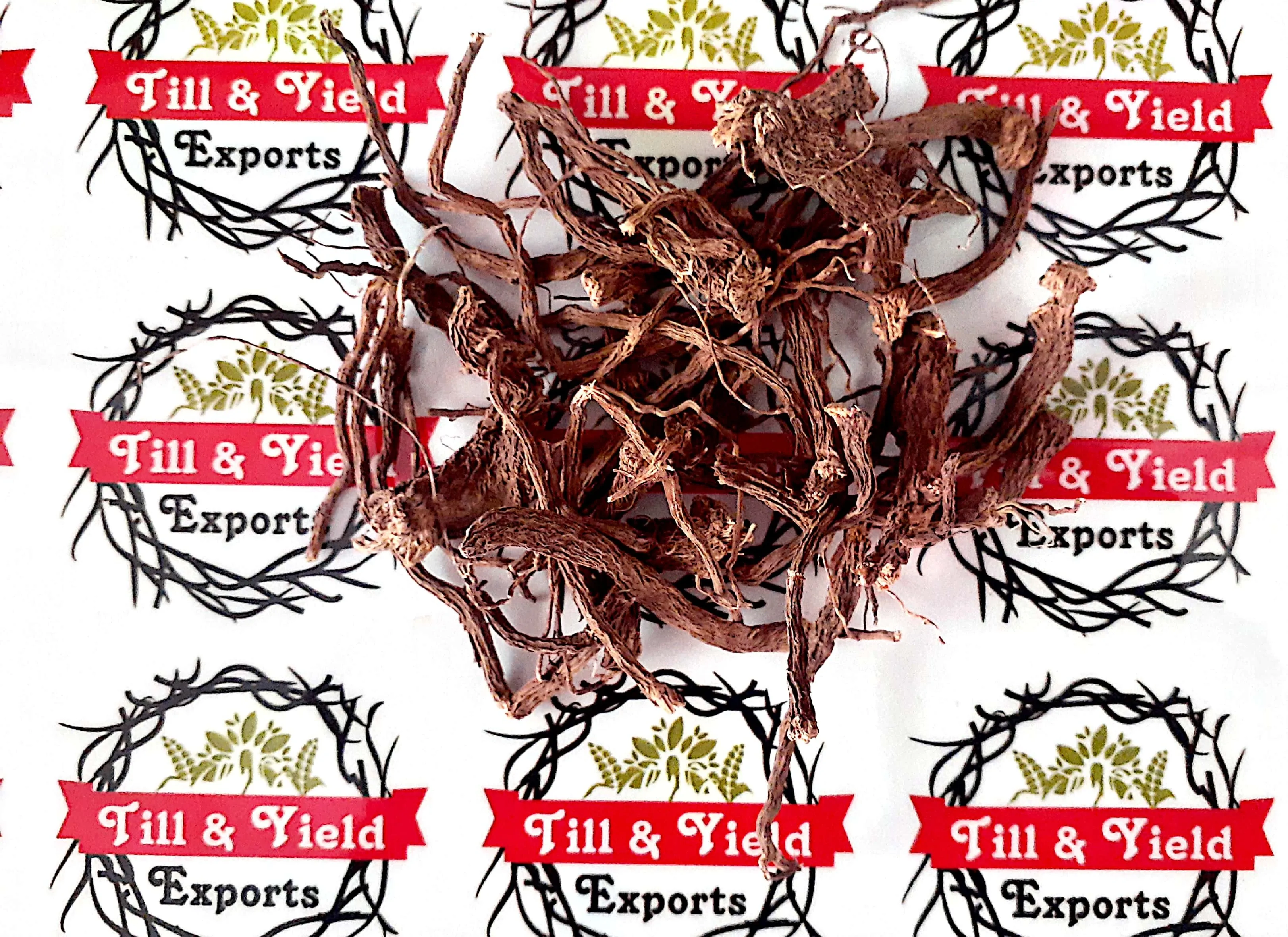 
Dry Coleus Roots - Coleus forskohli 