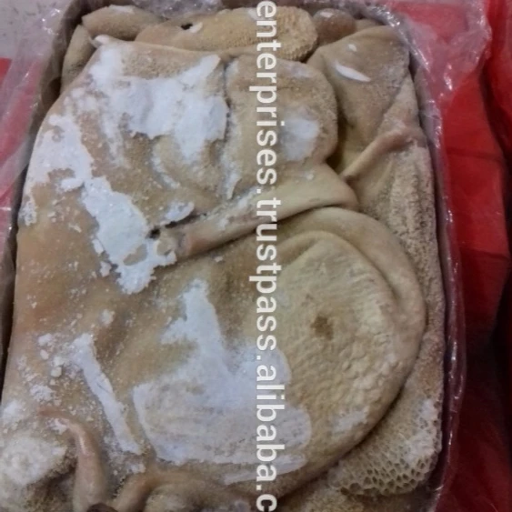 For Sell Frozen Beef Meat Tripe A Grade High Quality