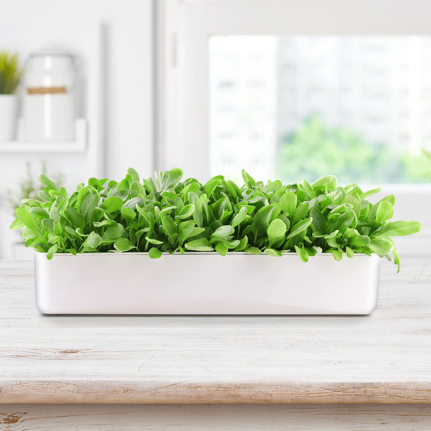 microgreen shelf  hydroponic system No deformation repeated use microgreens grow tray