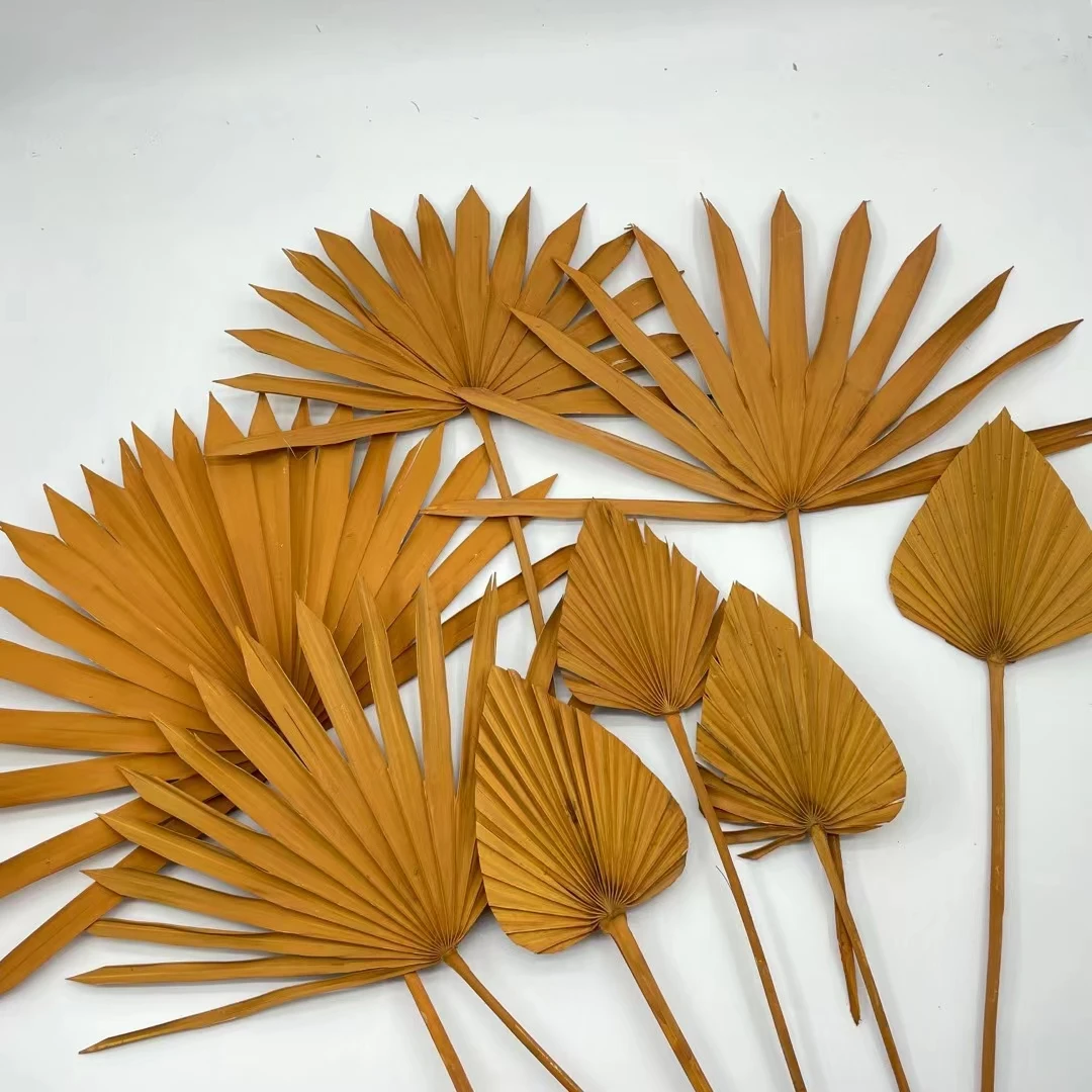 Every Love high quality natural color dried flower big palm  Leaves Fan leaf Bleached for Wedding Flower Arranging Decoration