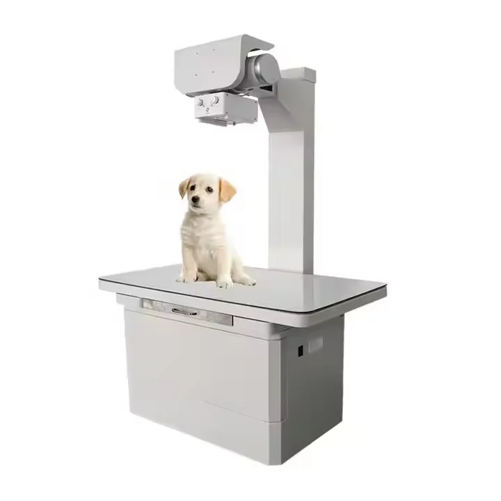 Precision Professional Grade Vet Medical DR Xray Portable 32KW Multifunction Veterinary Static Digital Radiography X Ray Machine