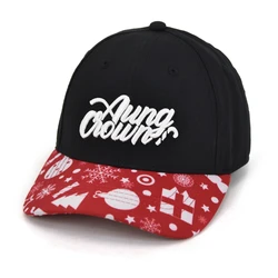 Manufacturers outdoor custom 3D embroidered print brim sports baseball baby christmas hats cap