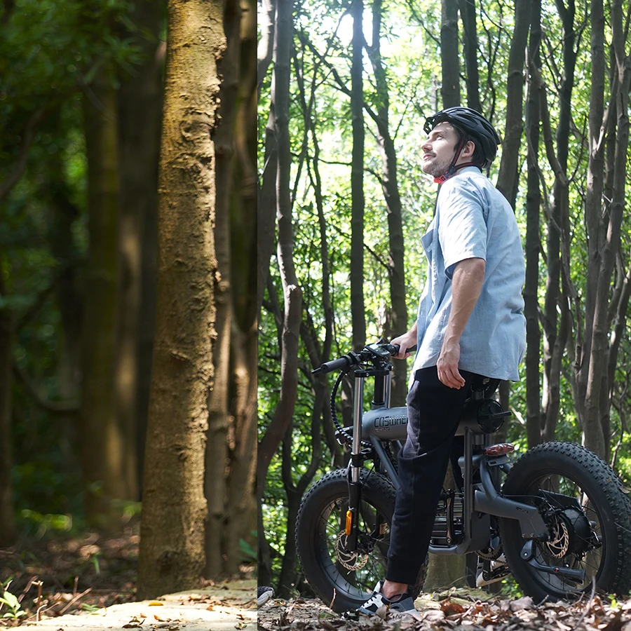 T20 Coswheel 2 seat electric bike rechargeable 20 inches big wheel size cycling 500W 48V Electric Bike