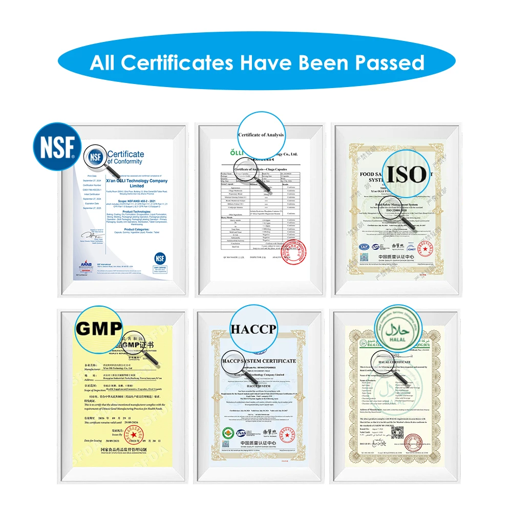 WELLBODY OEM/ODM private label factory supply Halal natural organic MSM Capsules Health Supplements dietary