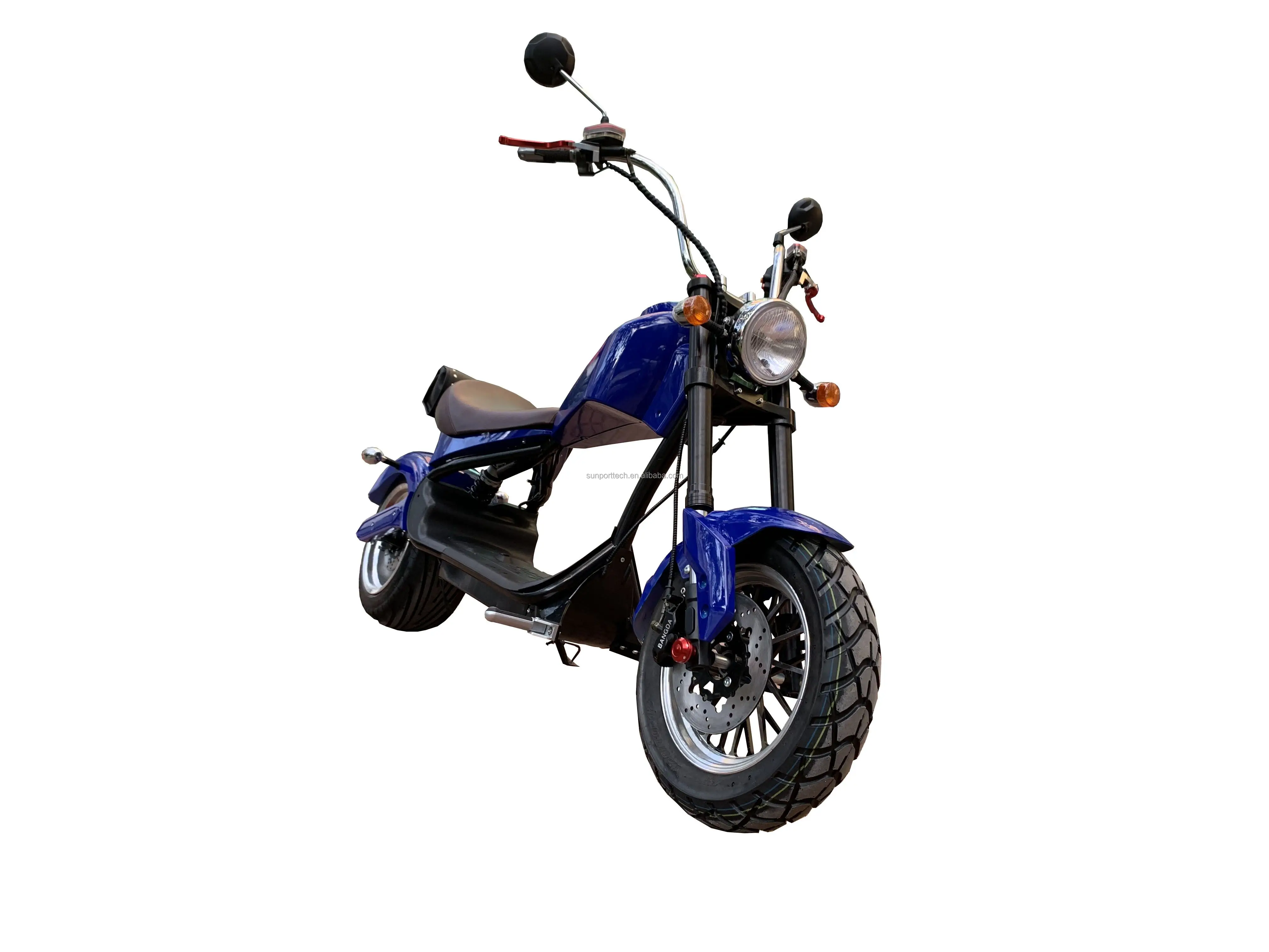citycoco scooter_2.jpg