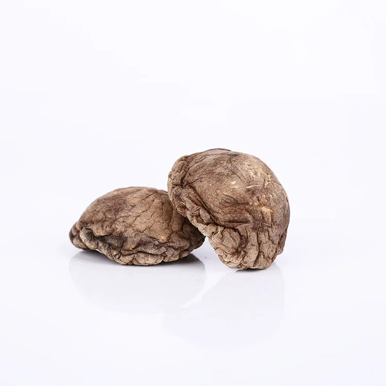 Лидер продаж, сушеные грибы Shiitake Oem 2021, сушеные грибы