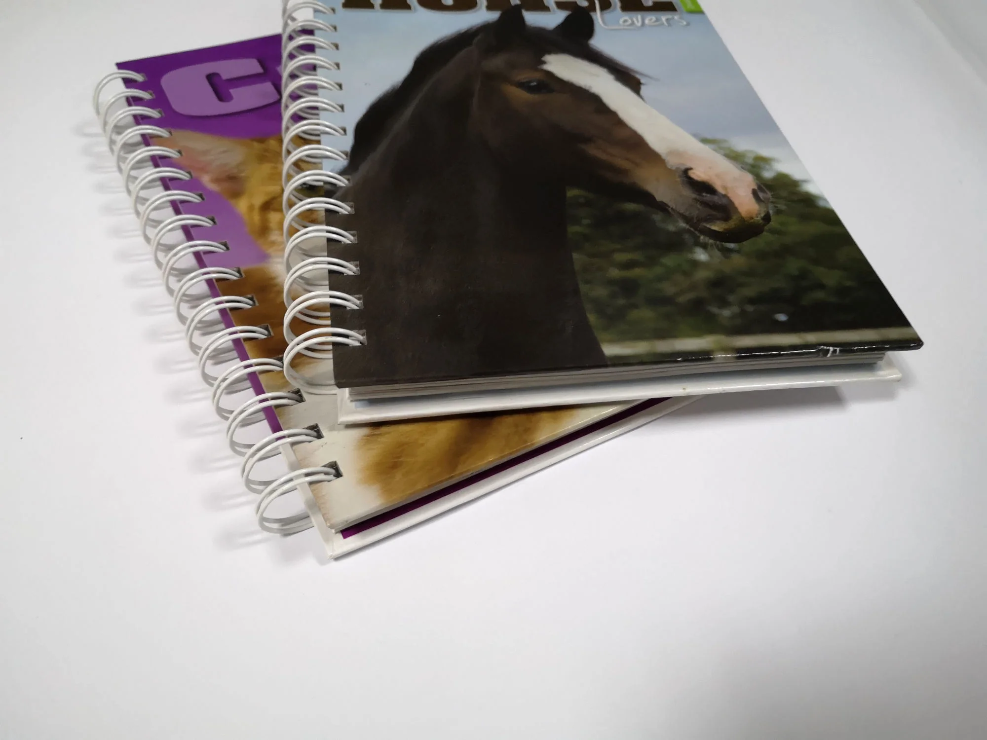 coloring book printing perforation spiral and  custom and children book printing