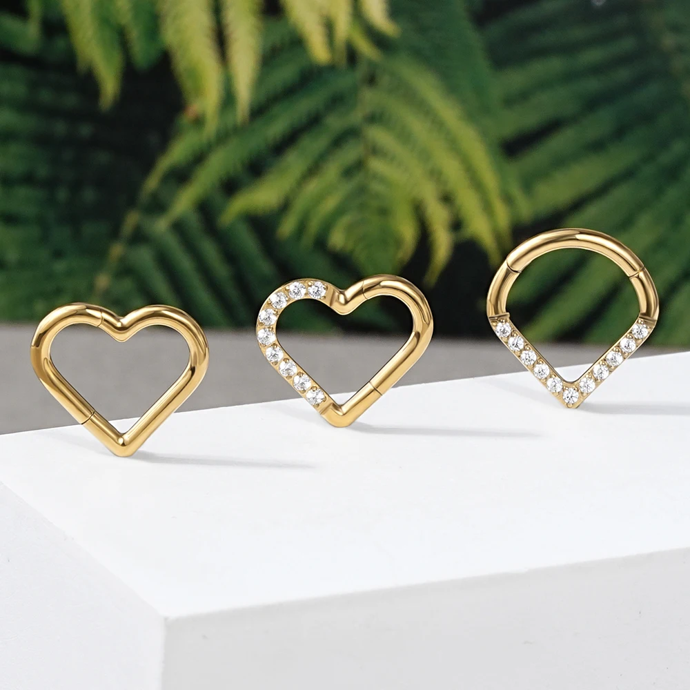 ASTM F-136 Titanium Nose Ring Daith Heart Earring Hoop Cartilage Tragus Helix Rings Hinged Segment Hoop with Clear CZ