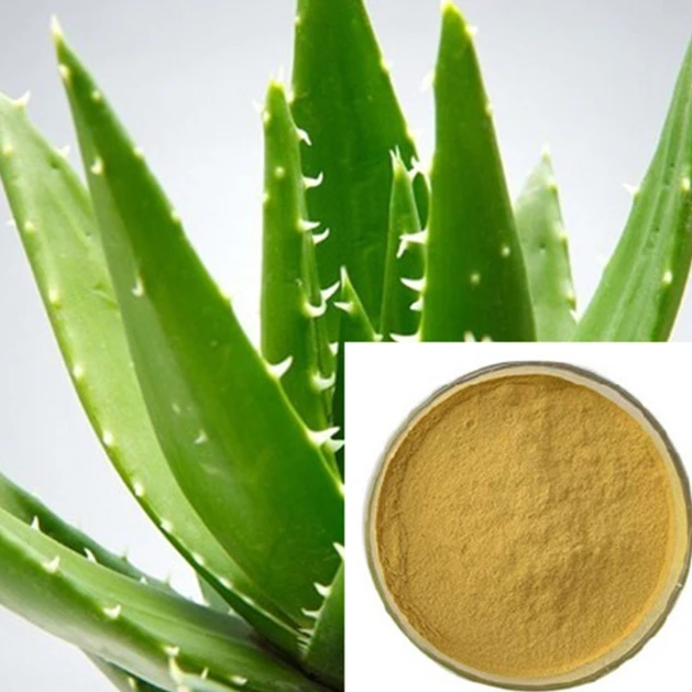 Aloe Vera Extract Aloe Powder Wholesale Price Pure Leaf Powder/plant extract