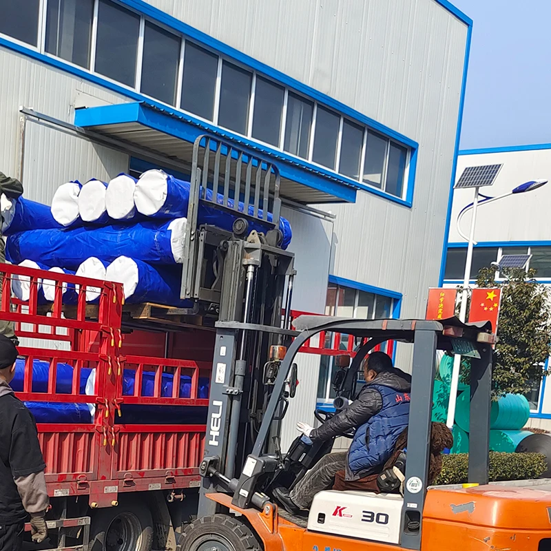 Custom size logo printed tarpaulin canvas 80 gsm- 220 gsm white blue Tarp for roofing temporary cover